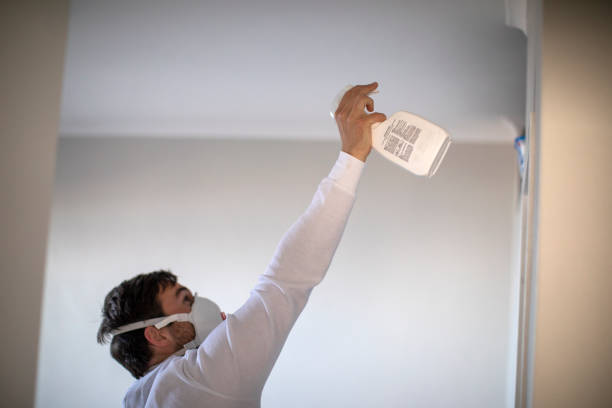 Best Local Mold Removal Service  in Spencerville, NM