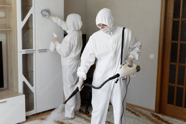 Best Certified Mold Removal  in Spencerville, NM