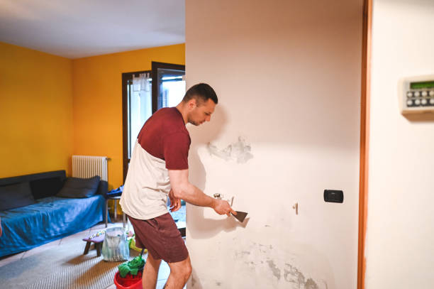 Best Emergency Mold Removal  in Spencerville, NM